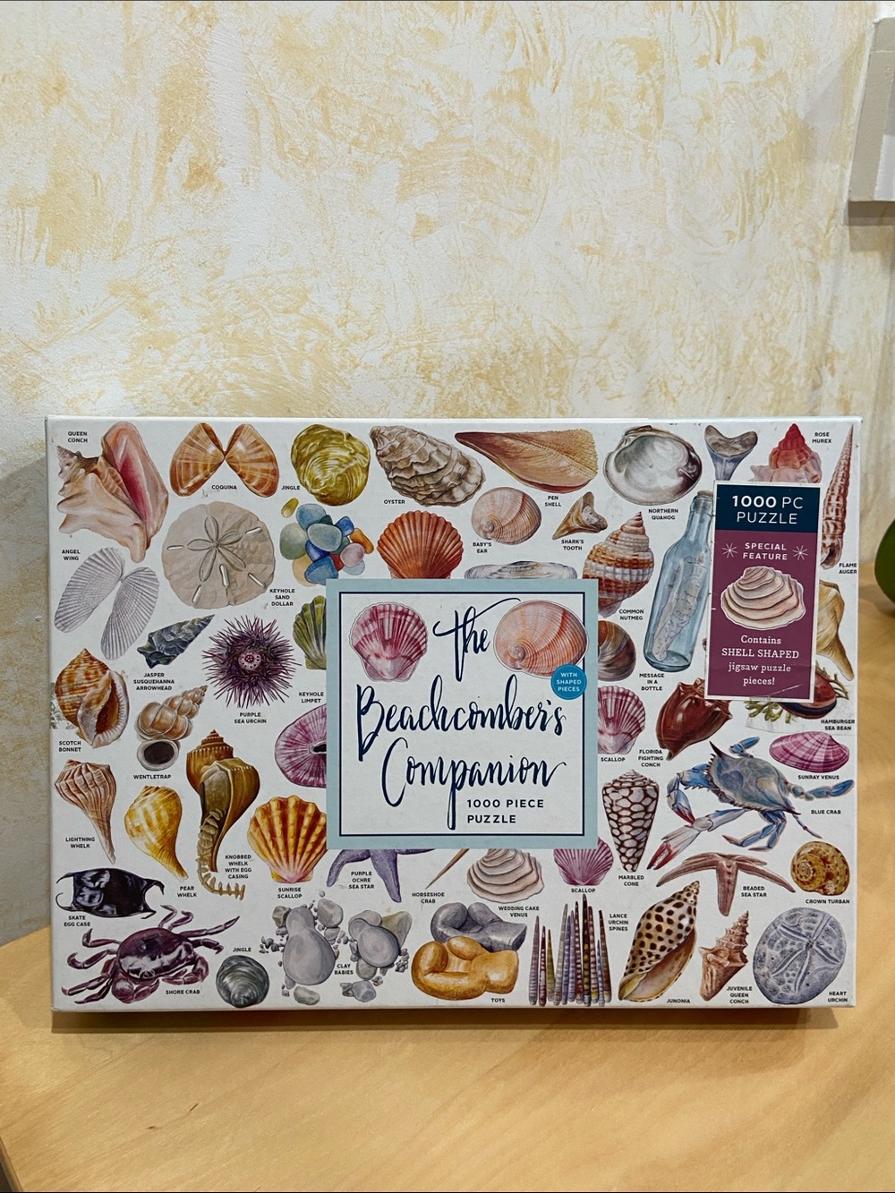 Galison The Beachcomber's Companion - 1000 Piece Puzzle